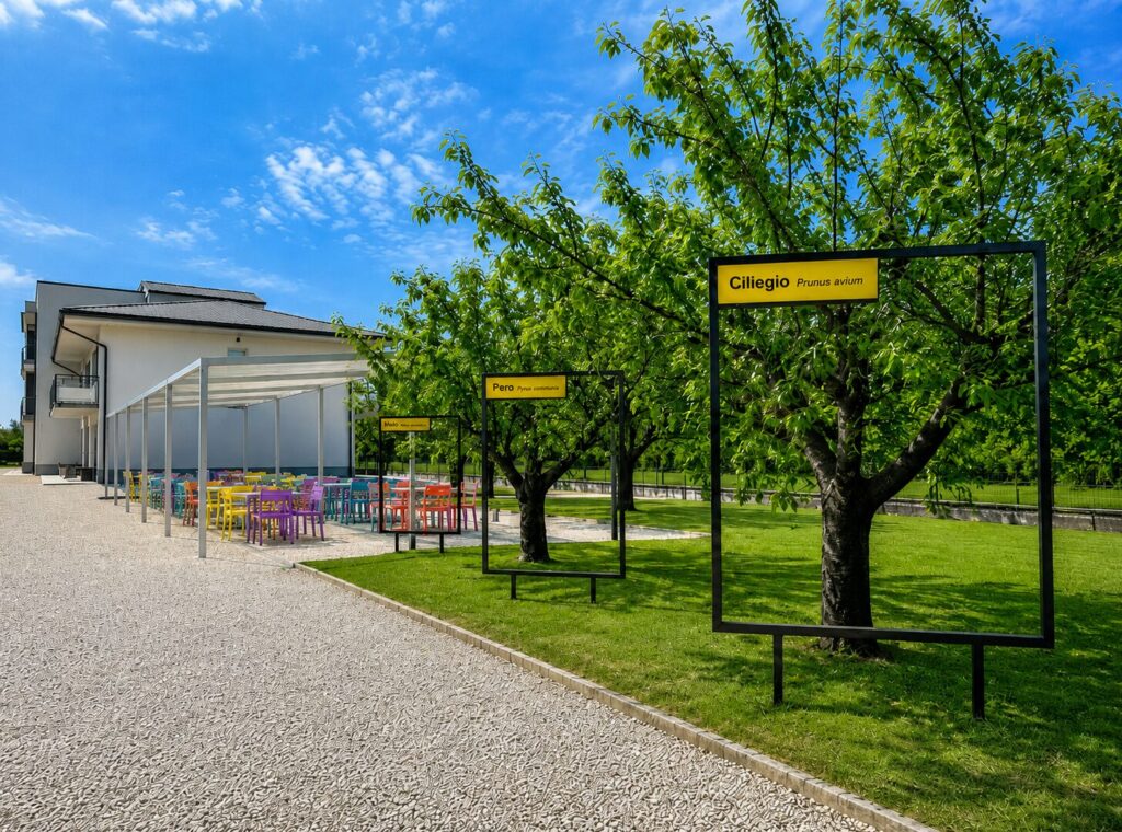Giardino di Unicaland a Cassino con area verde e spazi esterni per gli studenti